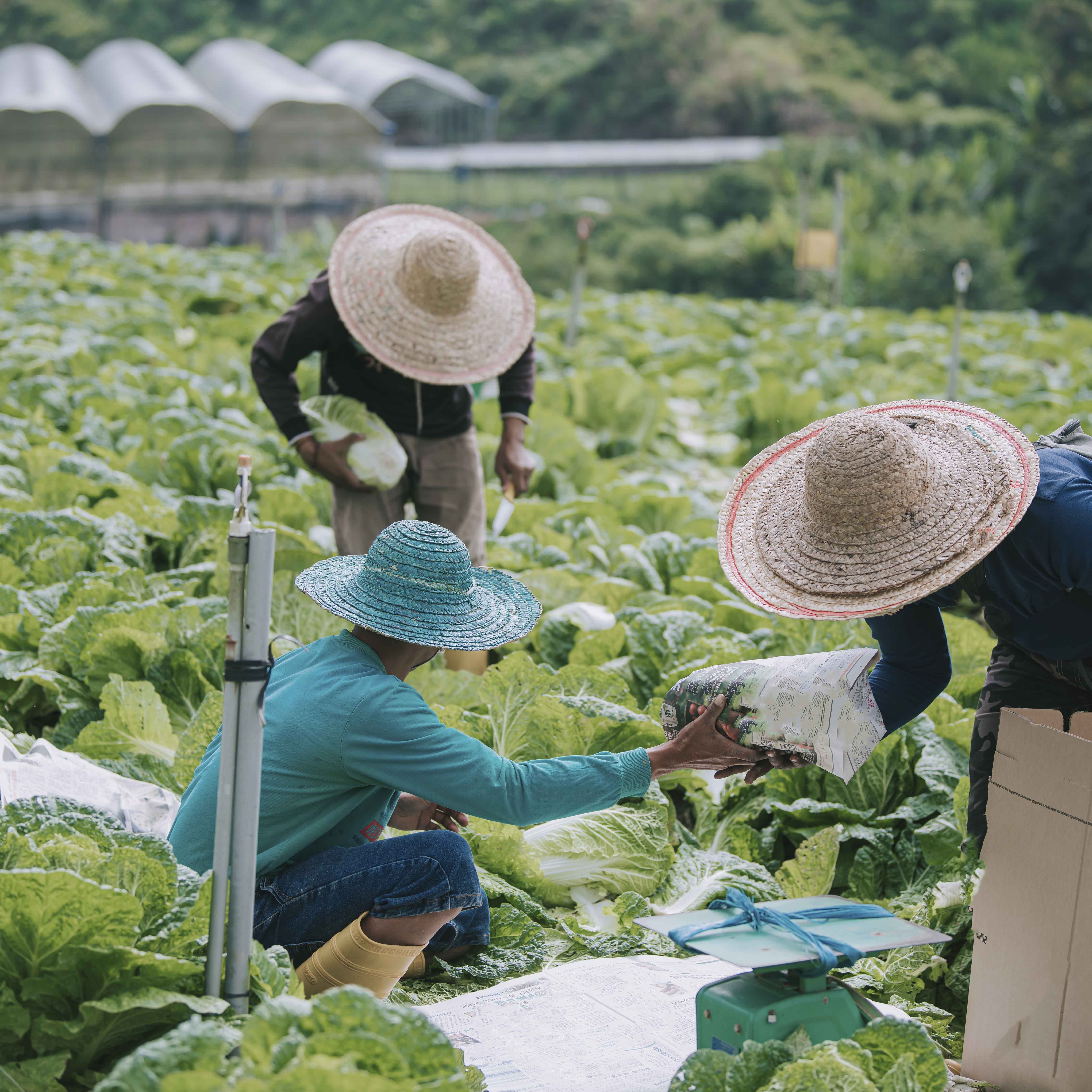 BRCGS ETHICAL TRADE AND RESPONSIBLE SOURCING CERTIFICATION