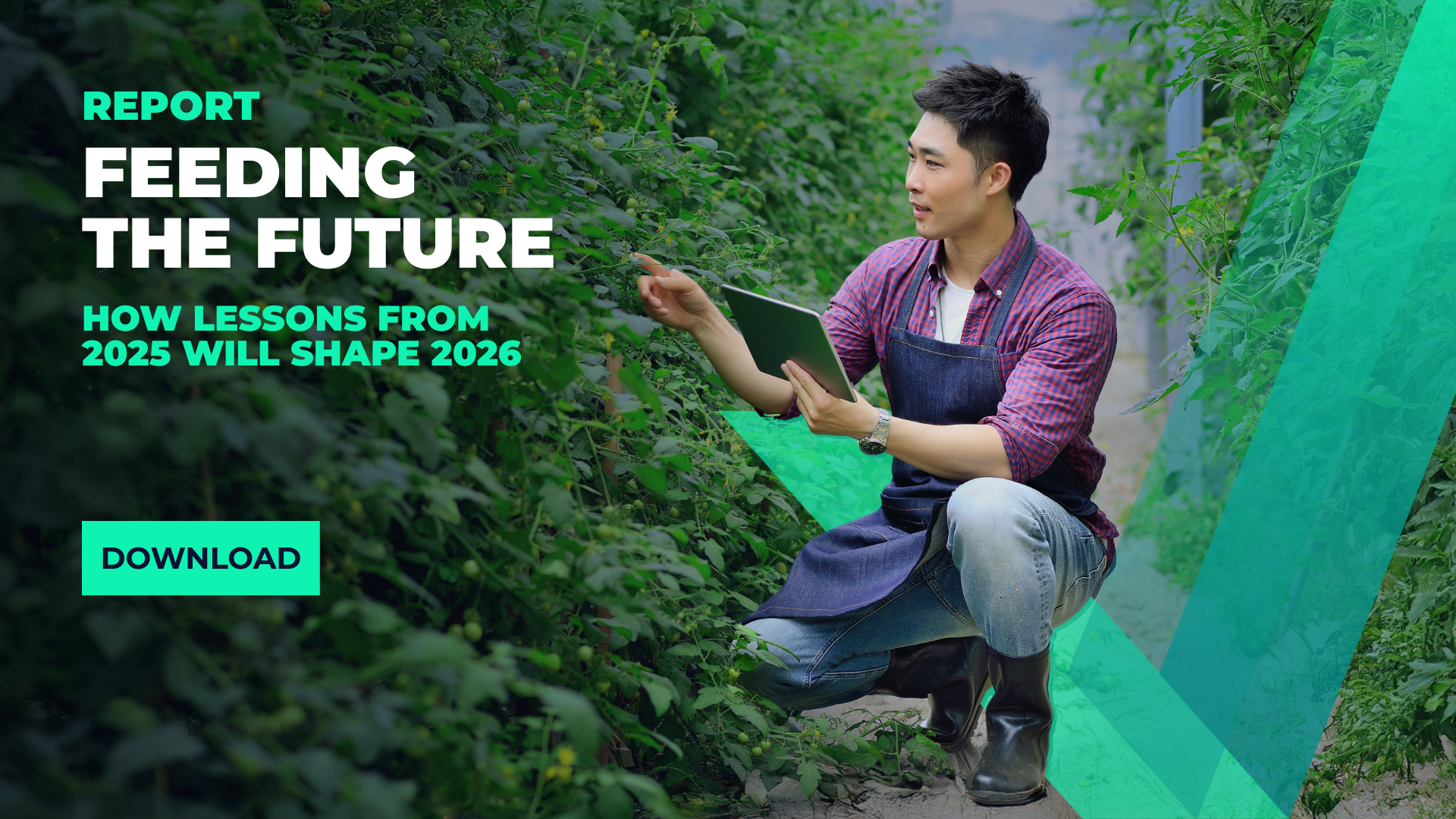 Cover image for feeding the future report